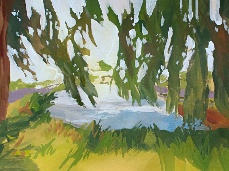 carte-postale-saule-pleureur