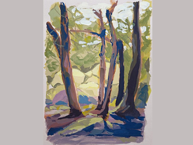 carte-postale-les-ardennes-sous-le-soleil-copie