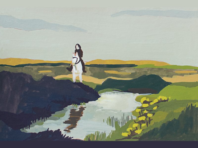 illustration-cheval-blanc-au-lac