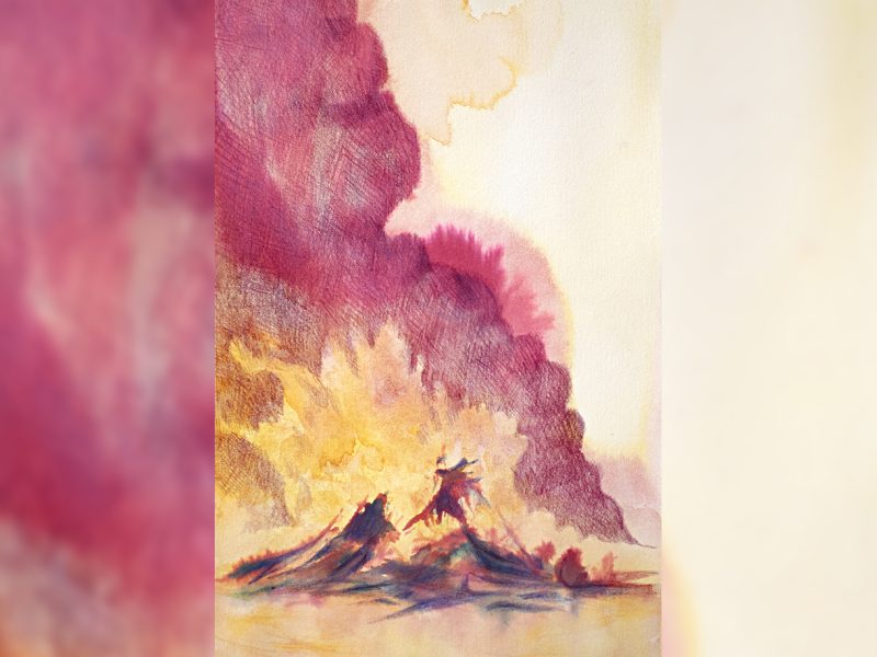 illustration-a5-tronc-dhiver-copie