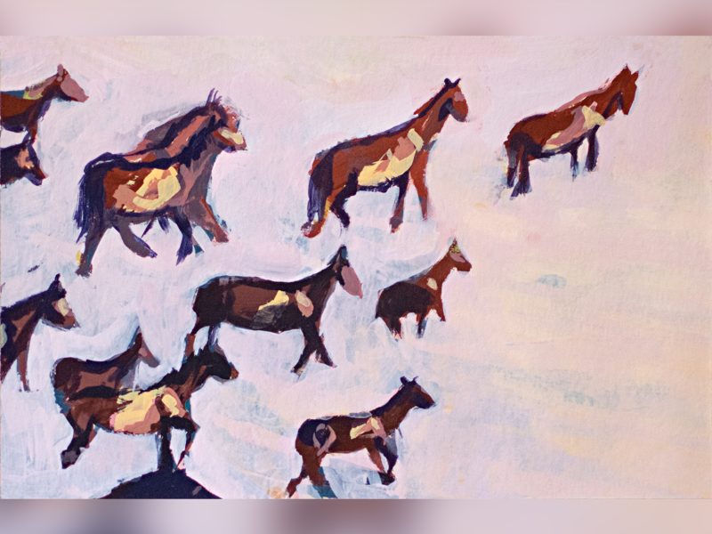 illustration-a5-le-troupeau