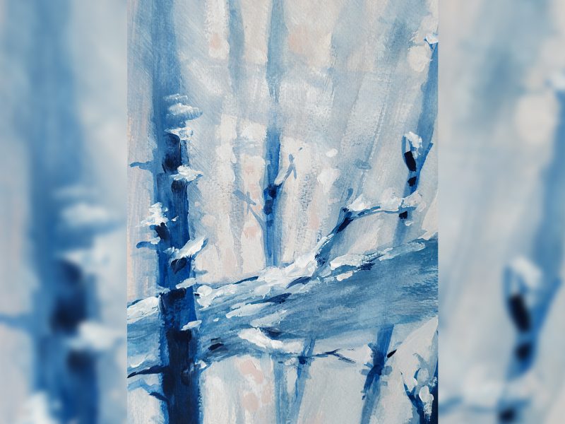 illustration-a5-tronc-dhiver