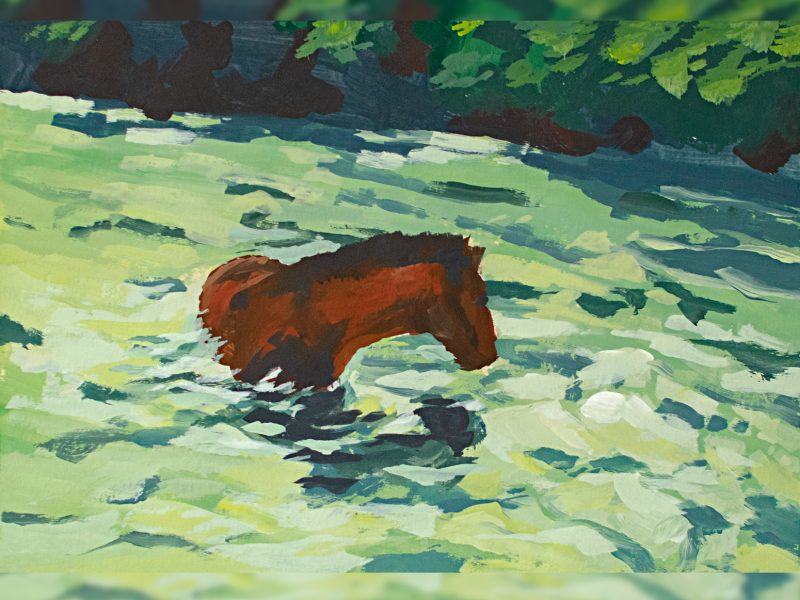 Illustration A5 numérotée - Le lac