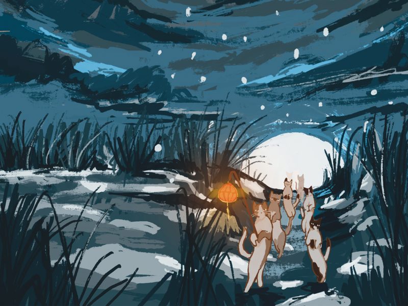 carte-postale-la-veillee-des-chats